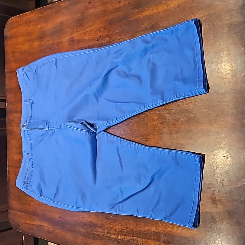 Style and Company Blue Cropped‎ Pants